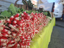 La Ferme des 4 Saisons à Le Bouchage