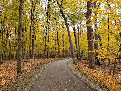 Scott Woods Park - Thumbnail