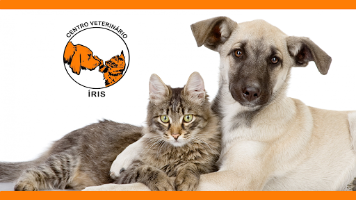 Centro veterinário Íris - Thumbnail