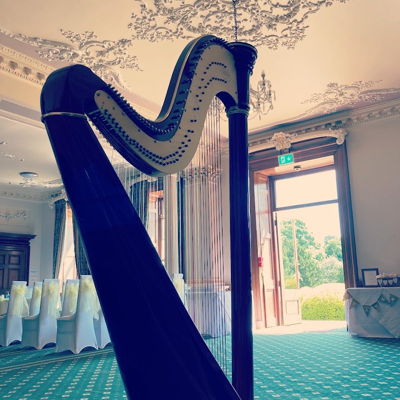 Soulful Harp photo 3