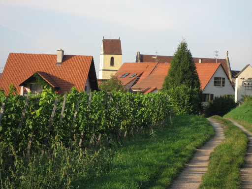 Männlins Straußwirtschaft/ Ferienwohnungen Haus Männlin - Thumbnail