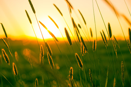 Prairie Sunset Home
