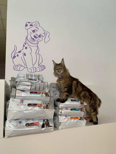 CLINICA VETERINARIA 360º