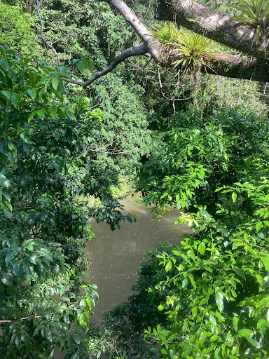 Junglequi Zipline Park - Thumbnail