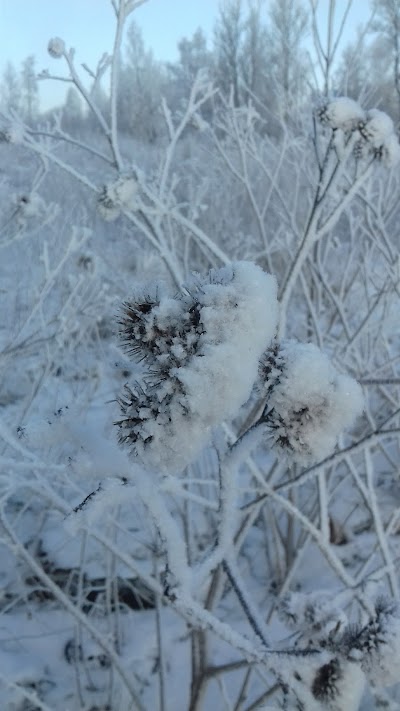 Photos of Koorti perev&auml;ljak 30
