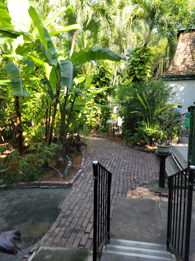 Hemingway in Key West Tours Gallery - United States