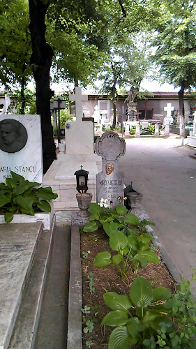 Opinii despre Cimitirul Bellu în Giurgiu - Muzeu