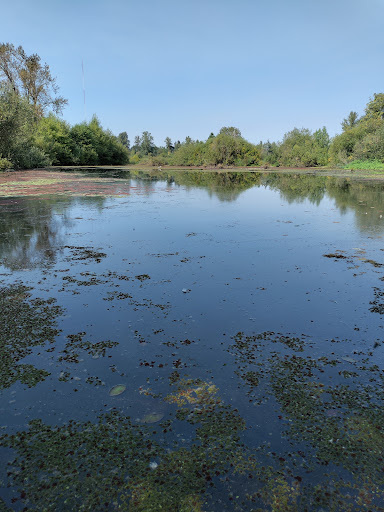 Delta Ponds - Visual