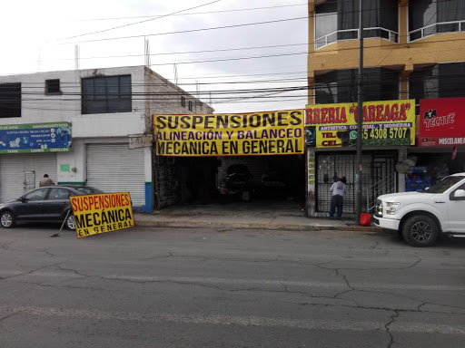 Suspensiones la mexiquense