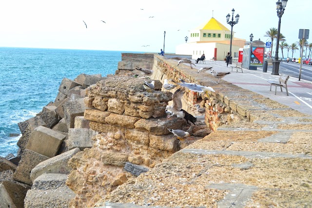Cadiz