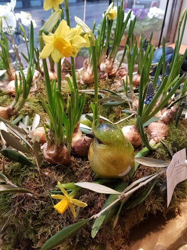 Stil + Blüte - Visual