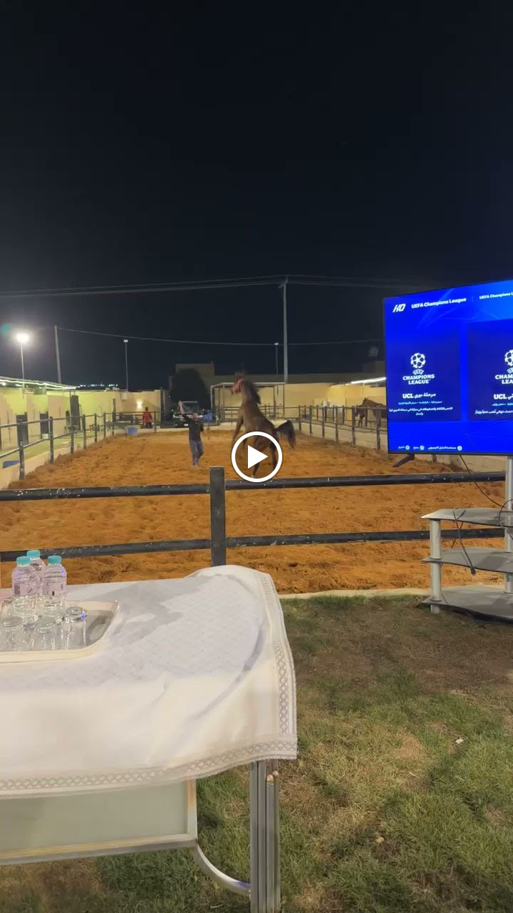 مربط أوج للخيل العربية - صورة 3