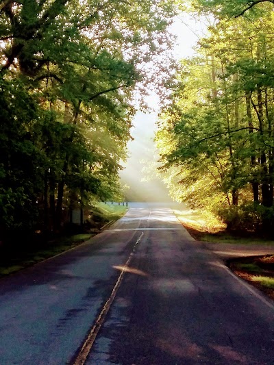 Elk Neck State Forest