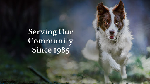 Wylie Veterinary Hospital