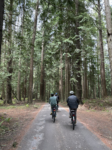 Wildlife Cycles Gallery - United States