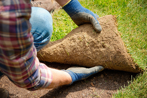 Landscaping article image