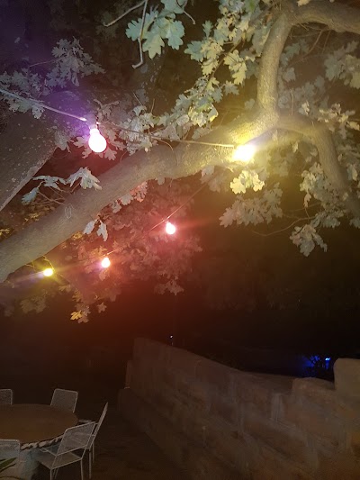 Photos of Vine Villa B&B