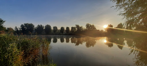 Blankershovevijver - Thumbnail