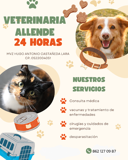 Veterinario 24 horas Allende Coahuila