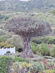 Photo n°17 de Isabelle Sol- Hypnothérapeute - Sophrologue - Sexologue à Aix-en-Provence (Centre d'amincissement)