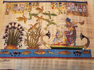 Photos of Golden Eagle Papyrus