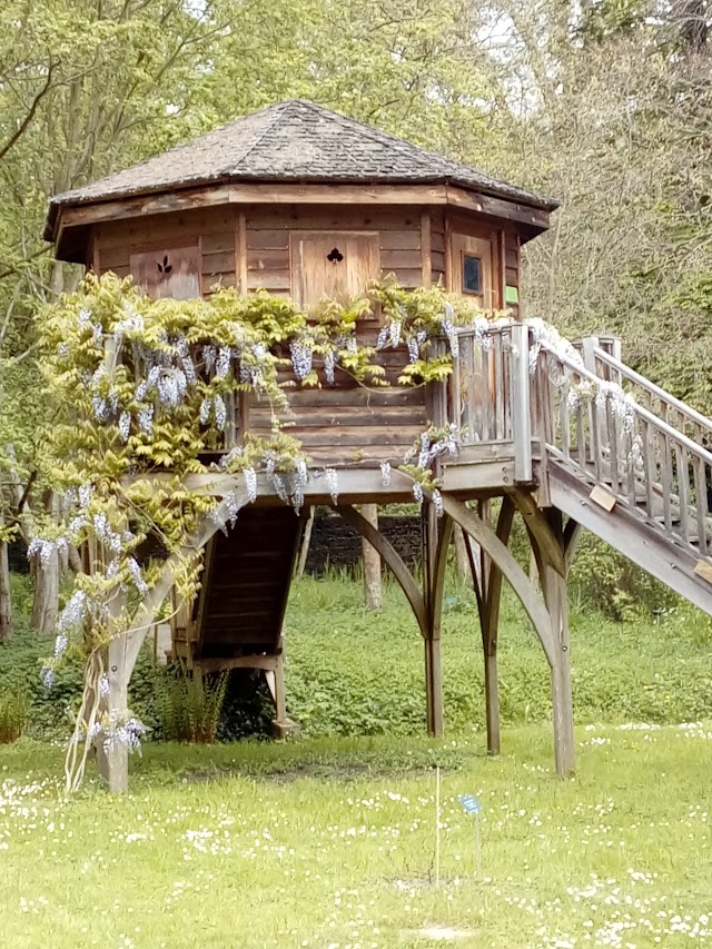 Arboretum De La Vallée Aux Loups