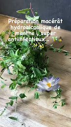 Photo n°2 de Fabienne LECOUTRE- Thérapie corps-esprit, Esprit Libre, Nutrition,Archives Akashiques,Tarot Psychologique à Saint-Selve (Thérapeute Reiki)