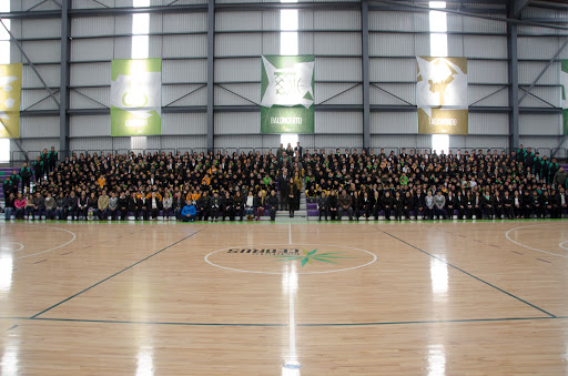 Instituto Cedrus - Visual