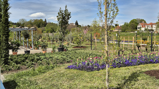 ERBA Park - Visual