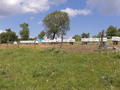 Photos of Nizip Teknik ve Endustri Meslek Lisesi