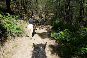 Photo n°9 de Les Chevaux du Cantaure à Saint-Ambroix (Centre de randonnée équestre)