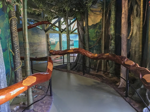 Cardwell Rainforest & Reef Visitor