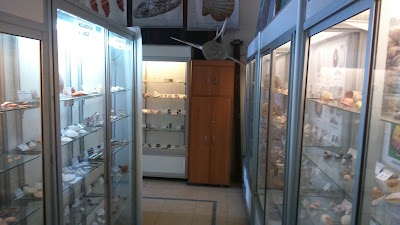 Photos of Sea Museum of Arica