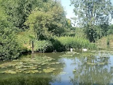 Byron’s Pool LNR cambridge