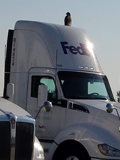 FedEx Freight