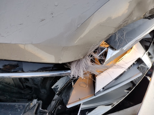 Marion County Auto Body