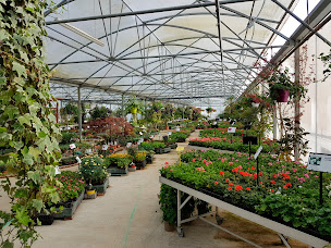 Photo n°14 de Van Delft Théo à Sorigny (Jardinerie)