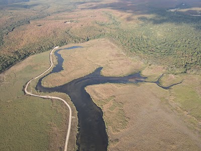 İğneada Floodplain Forests National Park