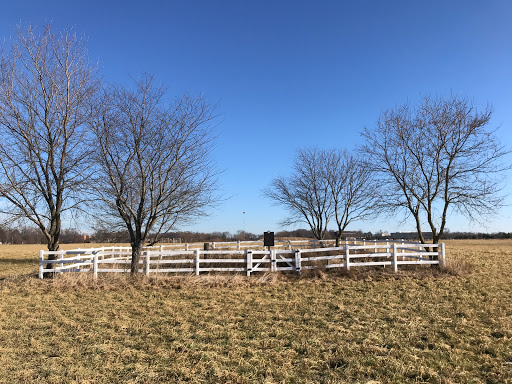 Lake County Poor Farm Cemetery Gallery - United States