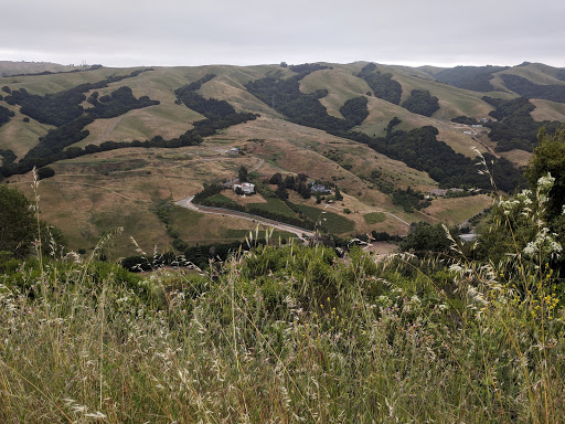 Five Canyons Open Space - Thumbnail