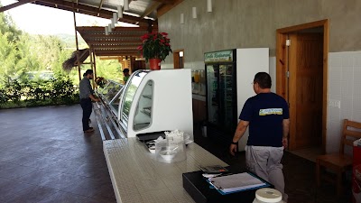 Photos of Caribe Restaurant