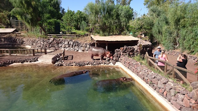 Oasis Park Fuerteventura