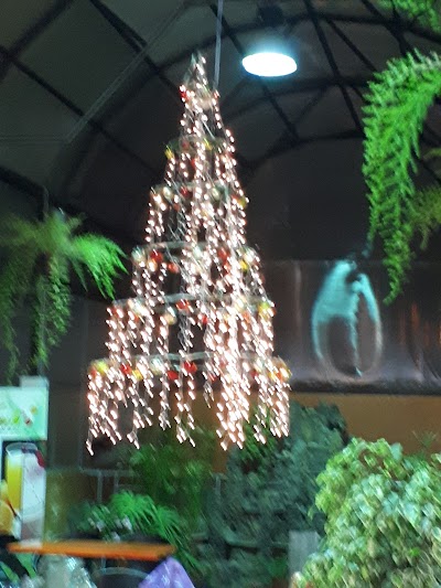 Photos of Santiago MegaSport