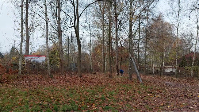 JUMPER WYCINKA DRZEW PIASECZNO