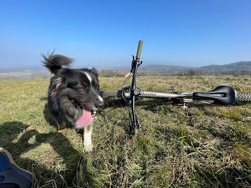 Wheels, Dogs & Art Jeanette Leitgeb - Thumbnail