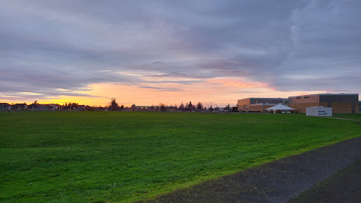 Timber Park - Visual