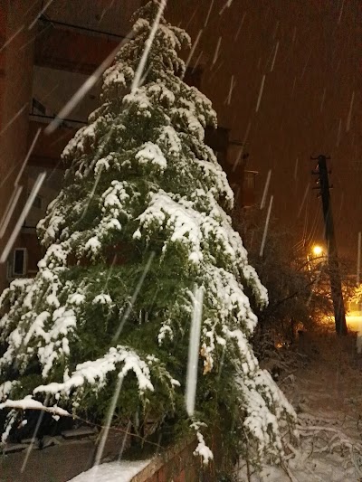 Photos of Ilıca Daglı Otel