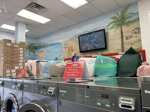 Alvin Place Laundry