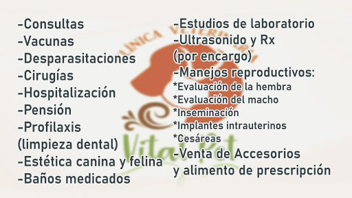 Veterinaria Vital Pet
