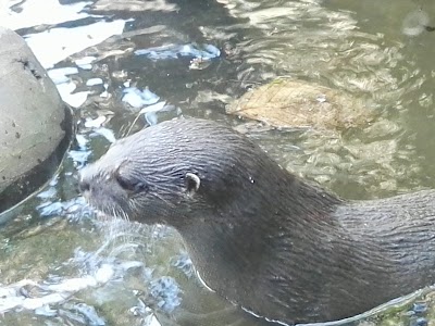Photos of Parque Consot&aacute;